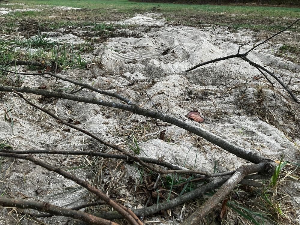 field after flood